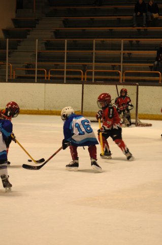 DSC_02 (35)
